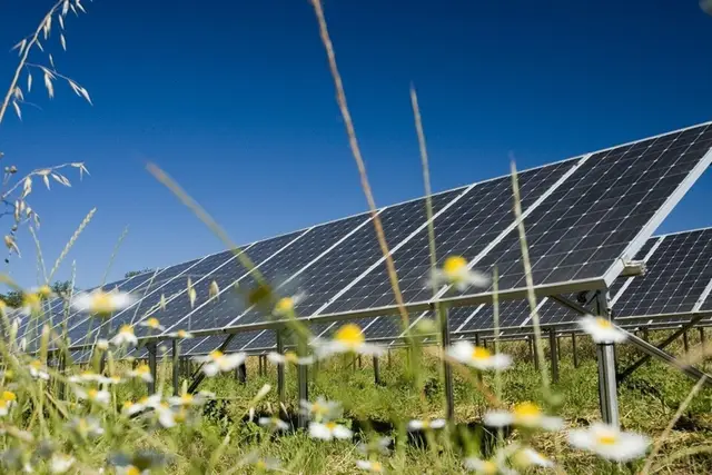 Lincolnshire councils take solar farm fight to the High Court